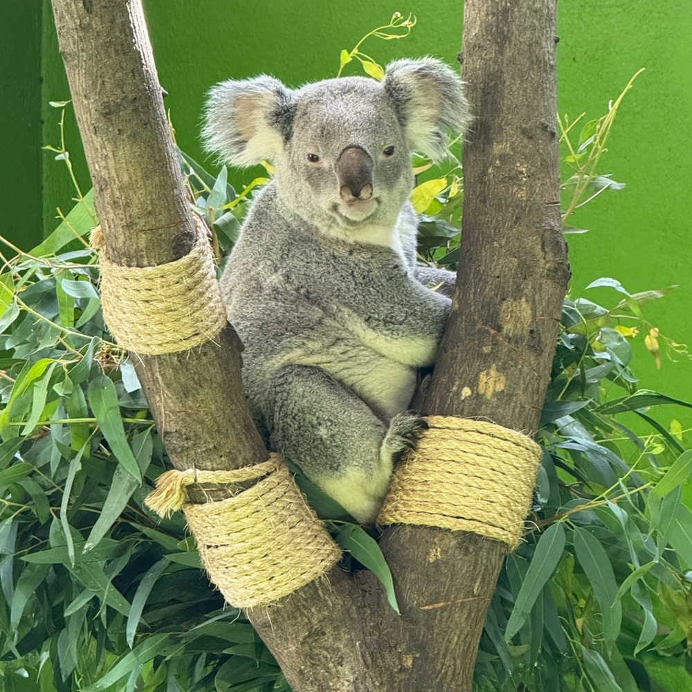 Meet your Posher, Rebecca